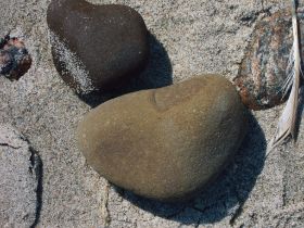 Fundstücke Rügen